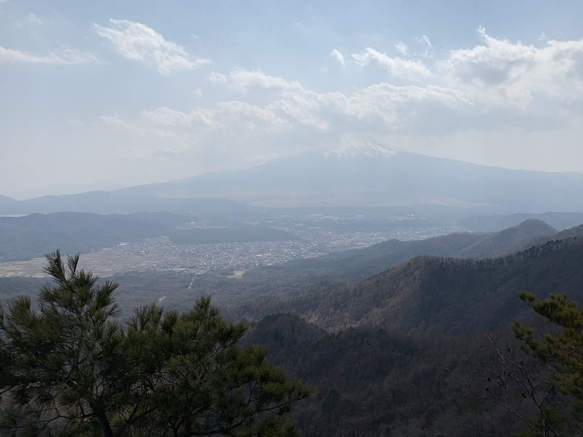 f:id:nuichi:20190409104509j:plain