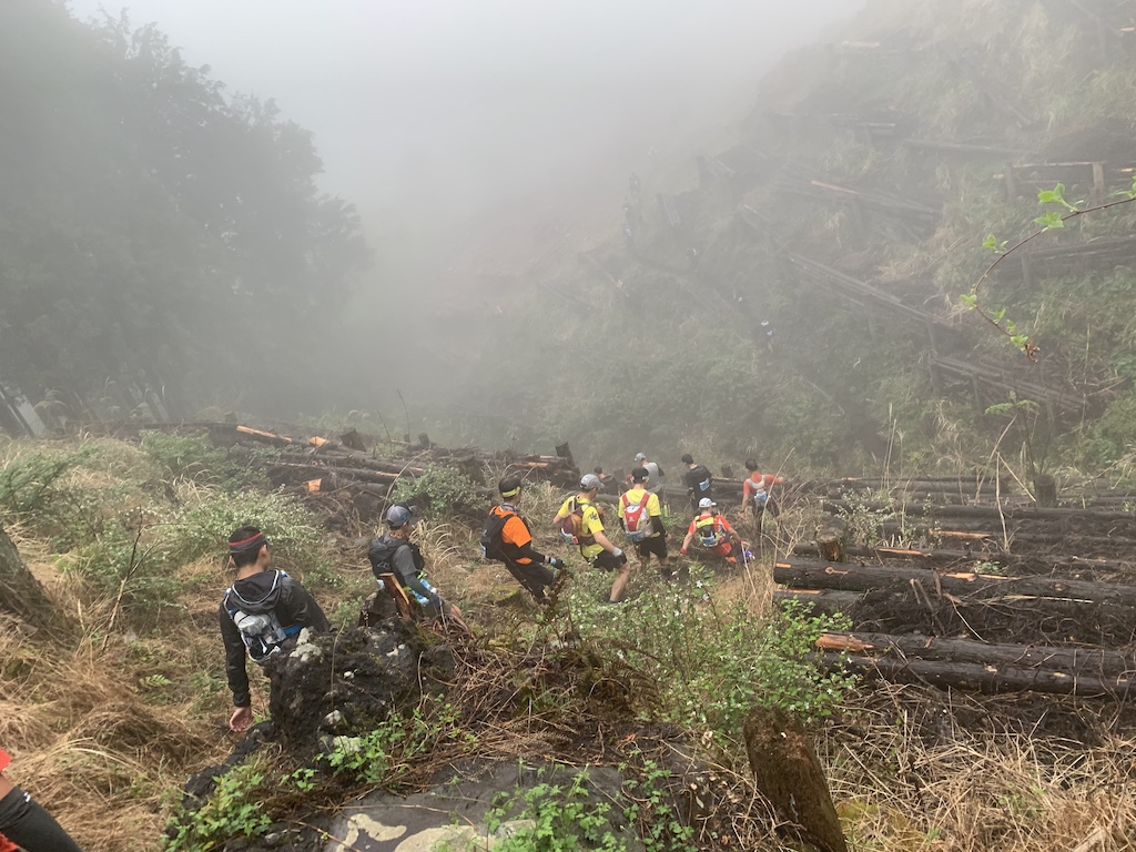 f:id:nuichi:20190509144257j:plain