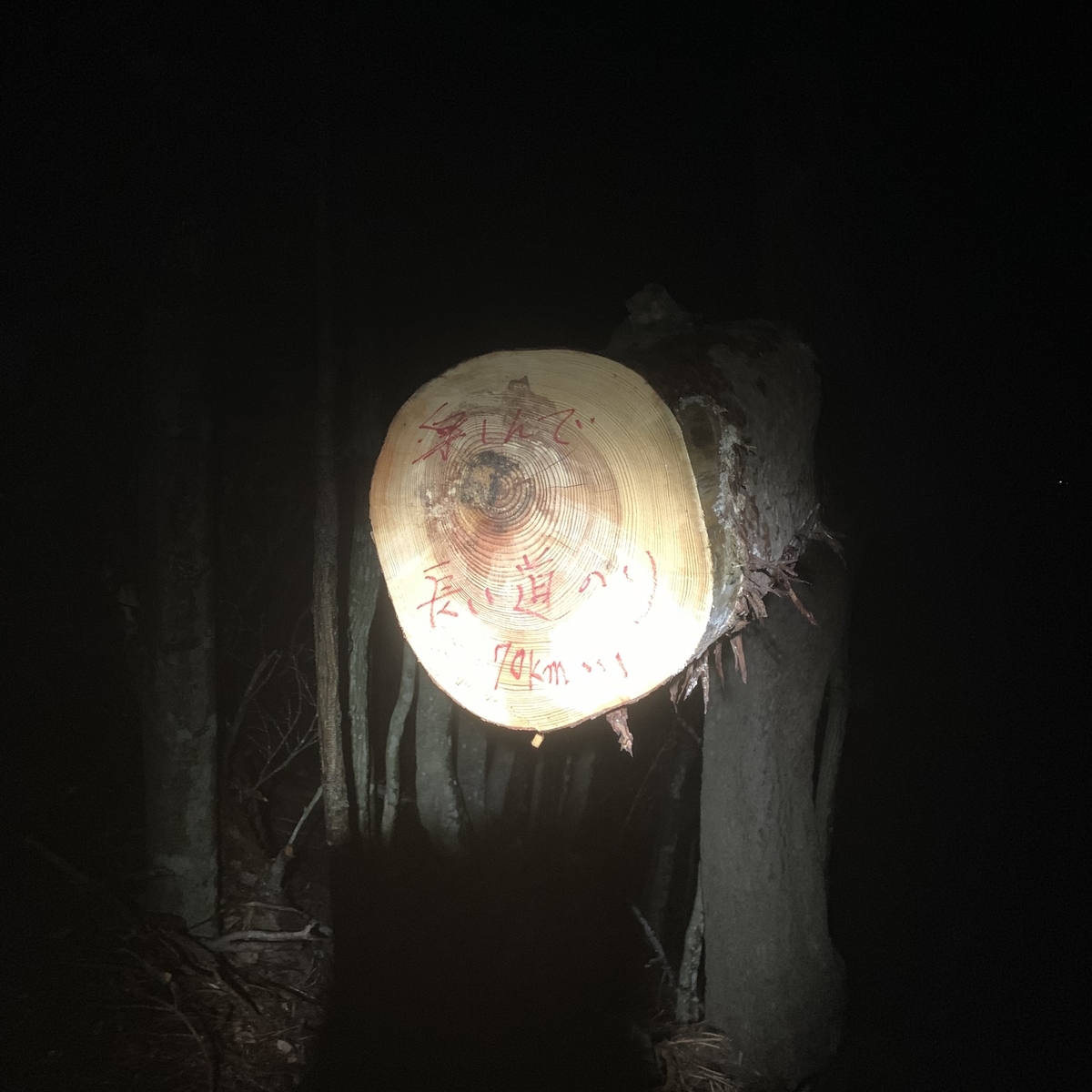 f:id:nuichi:20190509144718j:plain