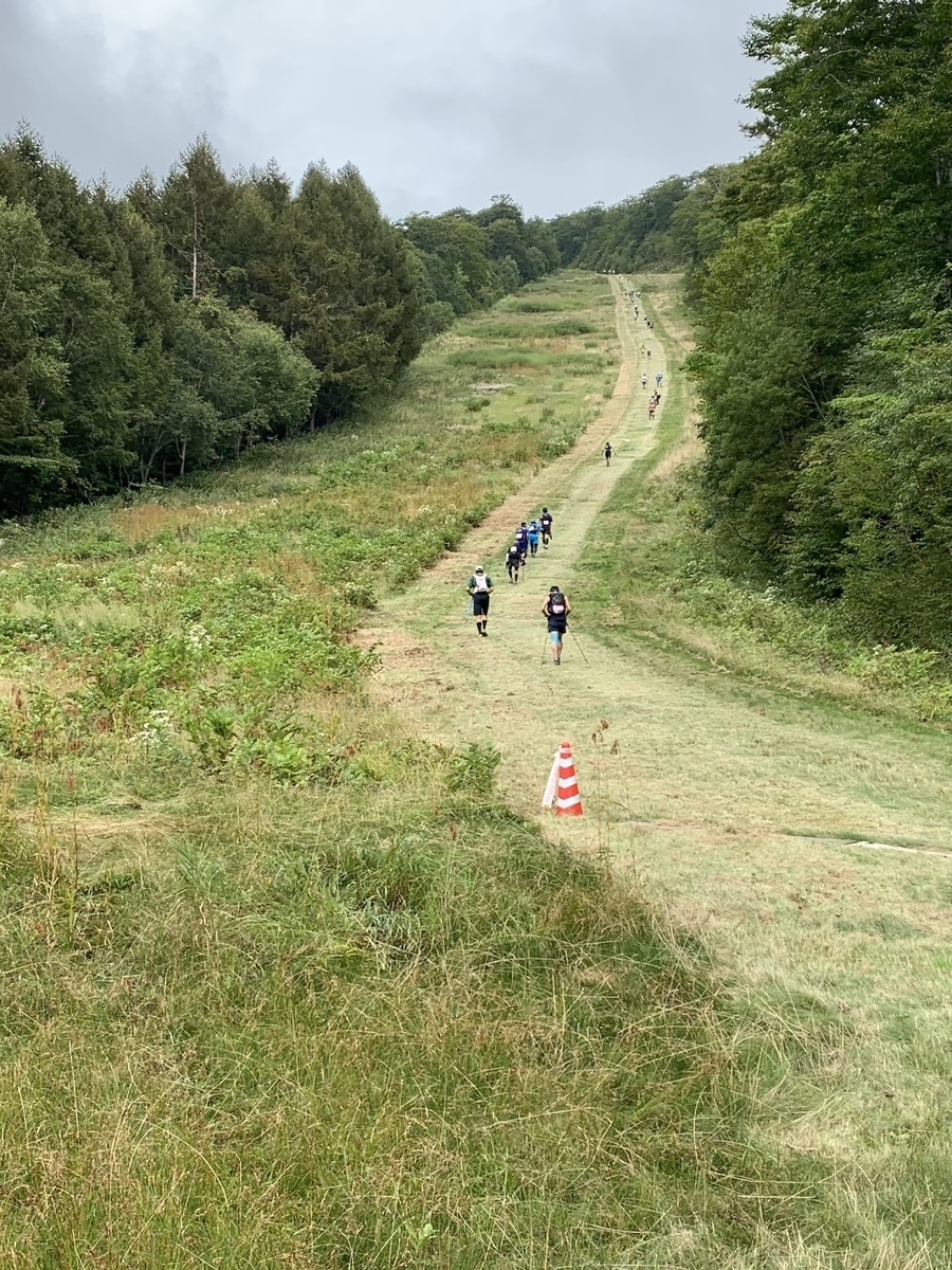 f:id:nuichi:20190929223749j:plain f:id:nuichi:20190929223749j:plain