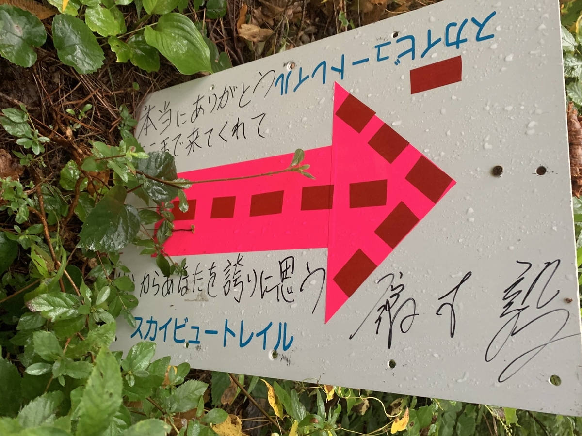 f:id:nuichi:20191006115906j:plain