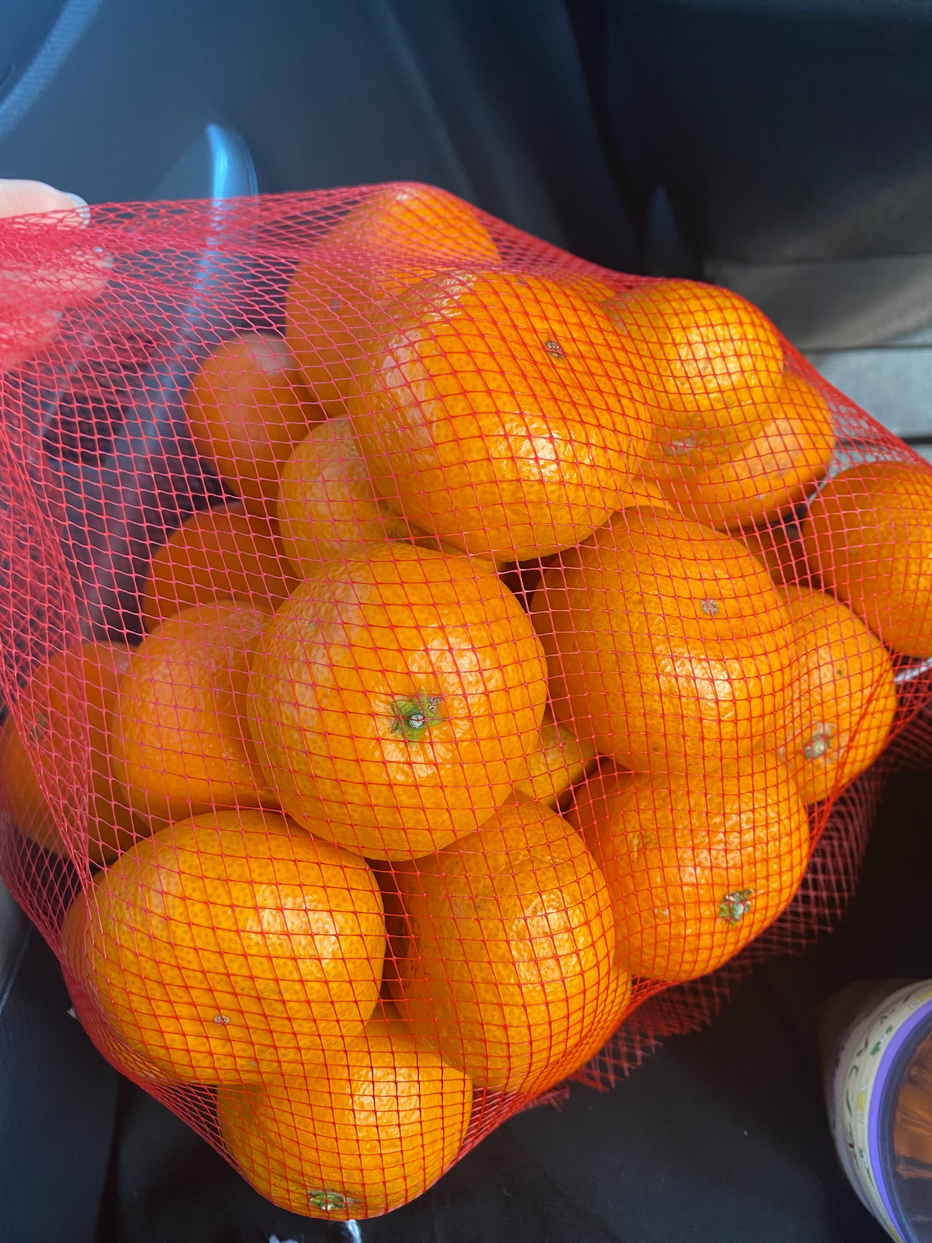 f:id:nuinuibou:20220122230324j:image f:id:nuinuibou:20220122230324j:image