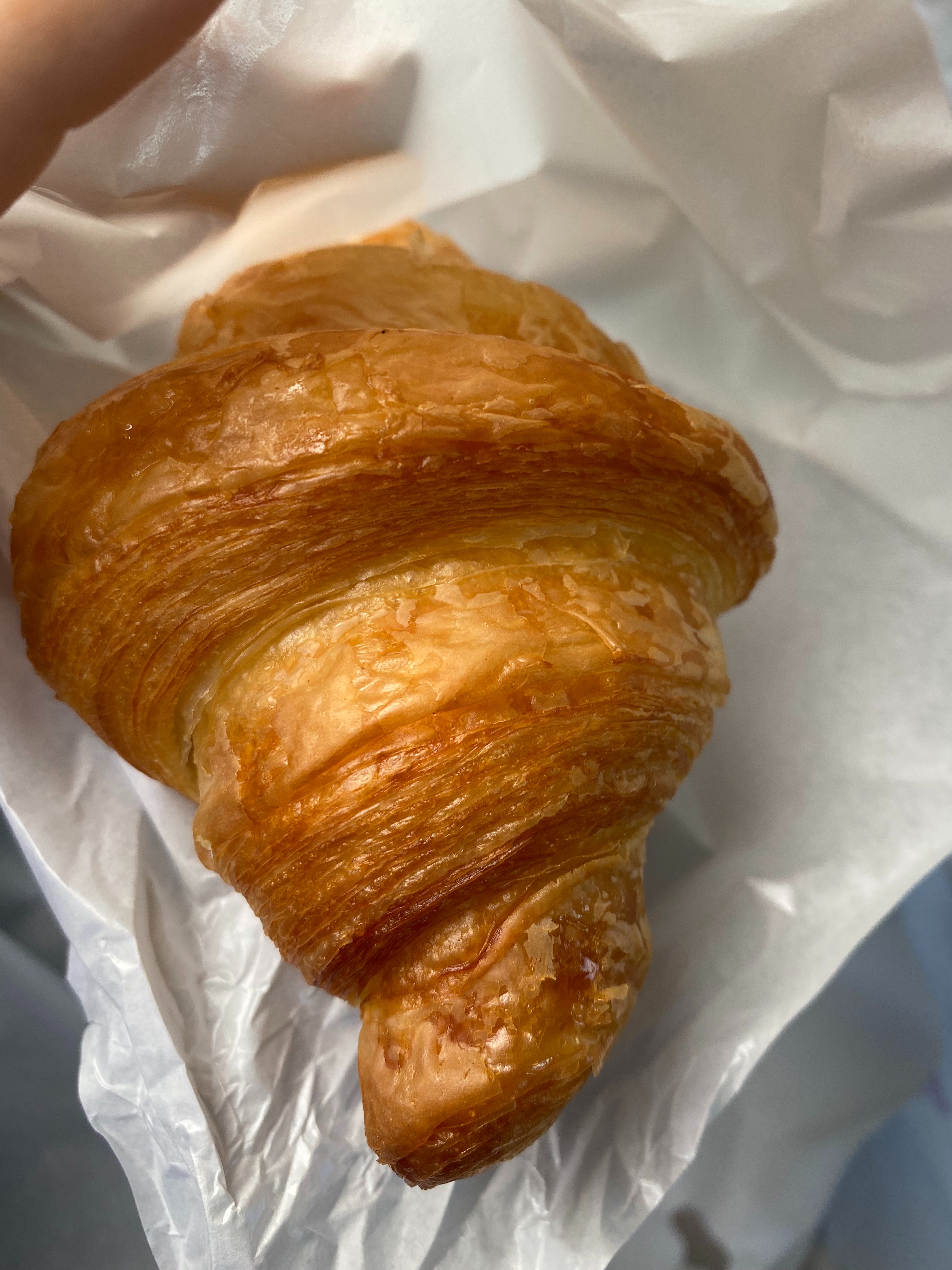 f:id:nuinuibou:20220122231442j:image f:id:nuinuibou:20220122231442j:image