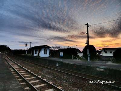 f:id:nuitetsuko:20200204140638j:plain f:id:nuitetsuko:20200204140638j:plain