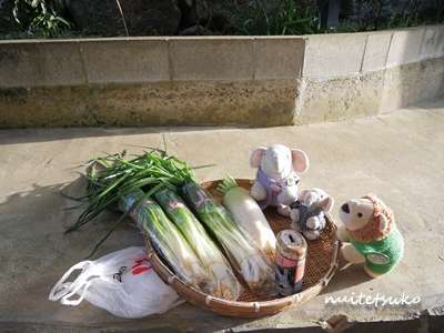 f:id:nuitetsuko:20200204140714j:plain f:id:nuitetsuko:20200204140714j:plain