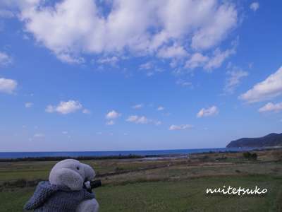 f:id:nuitetsuko:20200204140806j:plain f:id:nuitetsuko:20200204140806j:plain