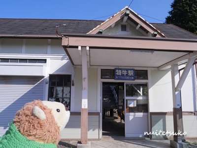 f:id:nuitetsuko:20200204140830j:plain f:id:nuitetsuko:20200204140830j:plain