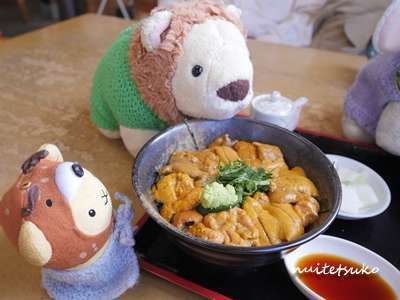 f:id:nuitetsuko:20200204140847j:plain f:id:nuitetsuko:20200204140847j:plain