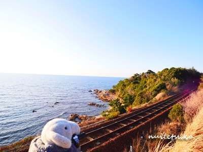 f:id:nuitetsuko:20200204140914j:plain f:id:nuitetsuko:20200204140914j:plain