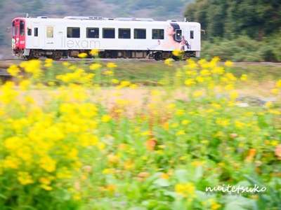 f:id:nuitetsuko:20200204140956j:plain f:id:nuitetsuko:20200204140956j:plain