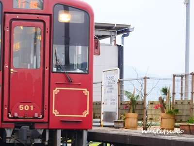 f:id:nuitetsuko:20200204141001j:plain f:id:nuitetsuko:20200204141001j:plain