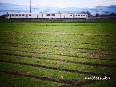 f:id:nuitetsuko:20200204141339j:plain f:id:nuitetsuko:20200204141339j:plain