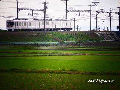 f:id:nuitetsuko:20200204141344j:plain f:id:nuitetsuko:20200204141344j:plain