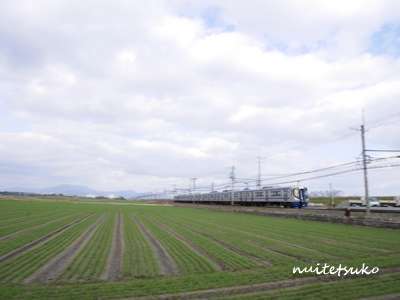 f:id:nuitetsuko:20200204141610j:plain f:id:nuitetsuko:20200204141610j:plain