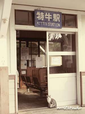 f:id:nuitetsuko:20200204141748j:plain f:id:nuitetsuko:20200204141748j:plain