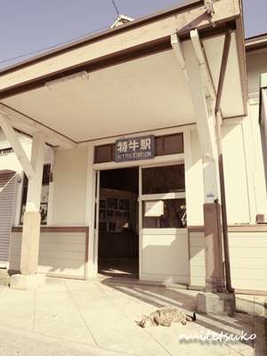 f:id:nuitetsuko:20200204141753j:plain f:id:nuitetsuko:20200204141753j:plain