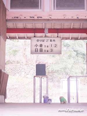 f:id:nuitetsuko:20200204141819j:plain f:id:nuitetsuko:20200204141819j:plain
