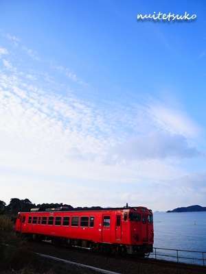 f:id:nuitetsuko:20200205213500j:plain f:id:nuitetsuko:20200205213500j:plain