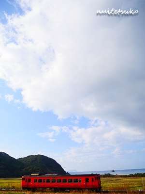 f:id:nuitetsuko:20200205213505j:plain f:id:nuitetsuko:20200205213505j:plain