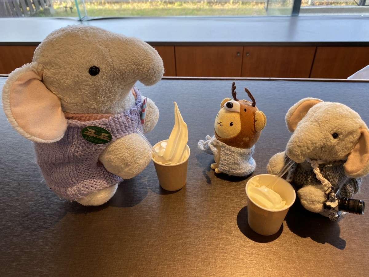f:id:nuitetsuko:20200206151902j:plain f:id:nuitetsuko:20200206151902j:plain