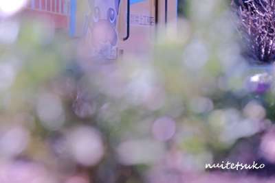 f:id:nuitetsuko:20200211110018j:plain f:id:nuitetsuko:20200211110018j:plain