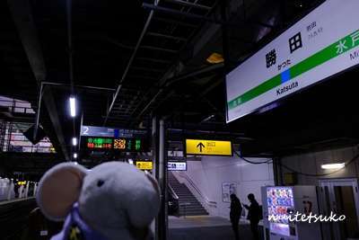 f:id:nuitetsuko:20200211110140j:plain f:id:nuitetsuko:20200211110140j:plain