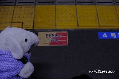 f:id:nuitetsuko:20200211110145j:plain f:id:nuitetsuko:20200211110145j:plain