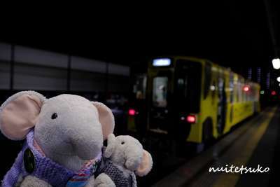 f:id:nuitetsuko:20200211110149j:plain f:id:nuitetsuko:20200211110149j:plain