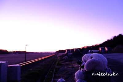 f:id:nuitetsuko:20200211110214j:plain f:id:nuitetsuko:20200211110214j:plain