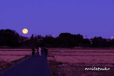 f:id:nuitetsuko:20200211110226j:plain f:id:nuitetsuko:20200211110226j:plain