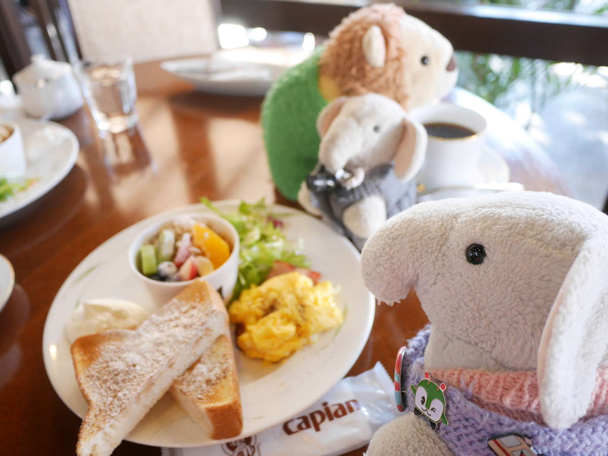 f:id:nuitetsuko:20200212224810j:plain f:id:nuitetsuko:20200212224810j:plain