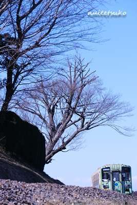 f:id:nuitetsuko:20200218223954j:plain f:id:nuitetsuko:20200218223954j:plain