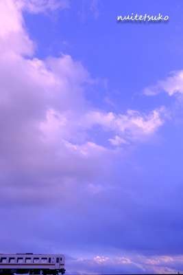 f:id:nuitetsuko:20200219171346j:plain f:id:nuitetsuko:20200219171346j:plain