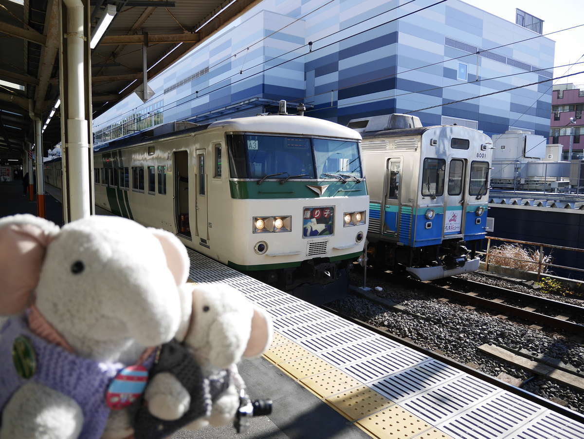 f:id:nuitetsuko:20200223092731j:plain f:id:nuitetsuko:20200223092731j:plain
