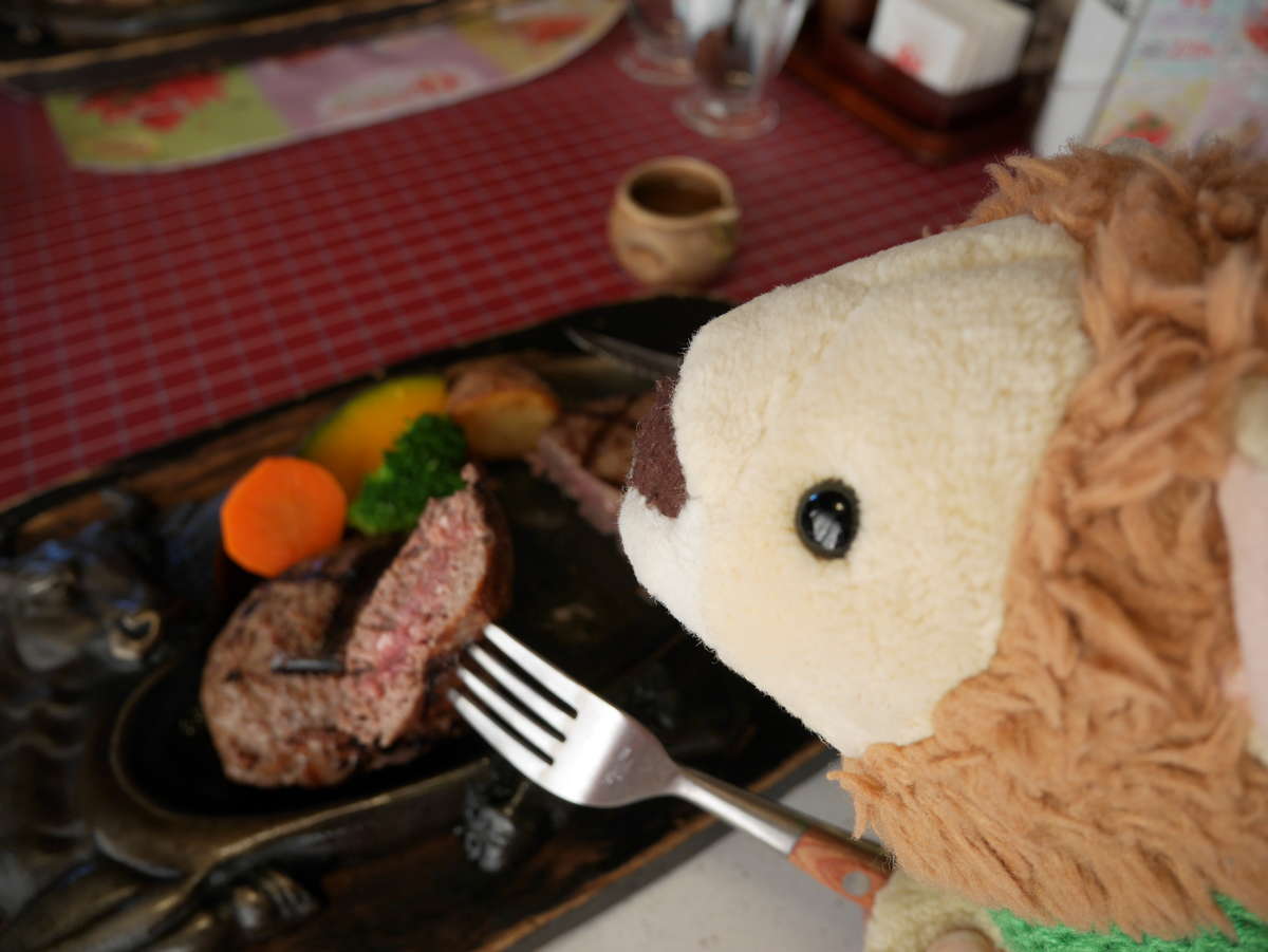 f:id:nuitetsuko:20200223121509j:plain f:id:nuitetsuko:20200223121509j:plain