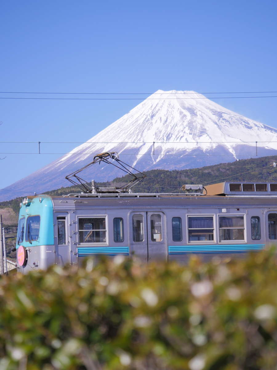 f:id:nuitetsuko:20200223141829j:plain f:id:nuitetsuko:20200223141829j:plain