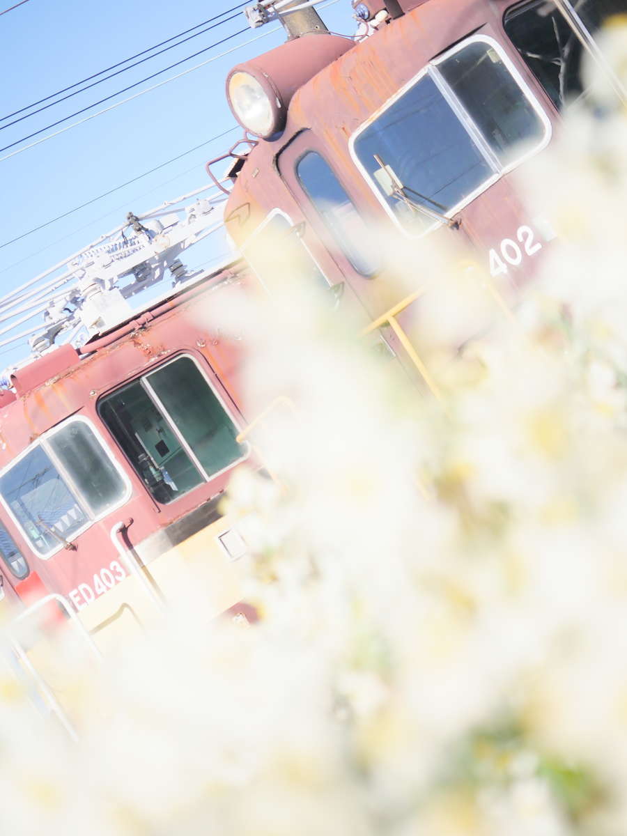 f:id:nuitetsuko:20200223153412j:plain f:id:nuitetsuko:20200223153412j:plain