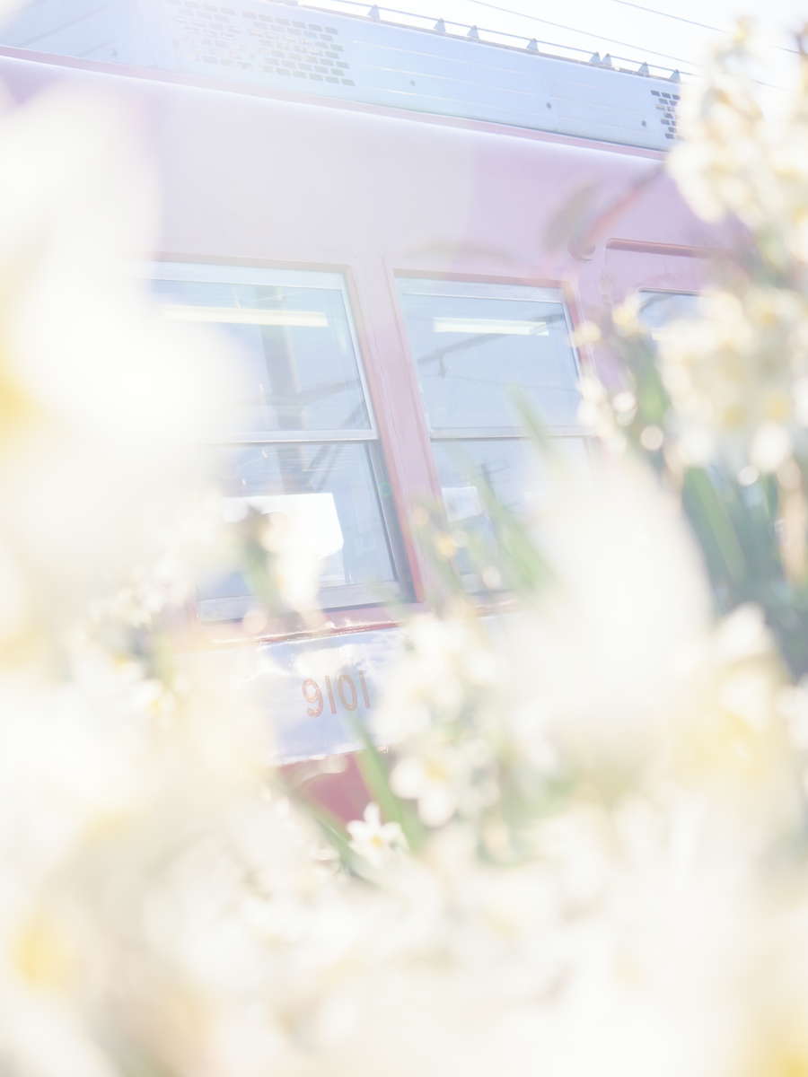 f:id:nuitetsuko:20200223153638j:plain f:id:nuitetsuko:20200223153638j:plain