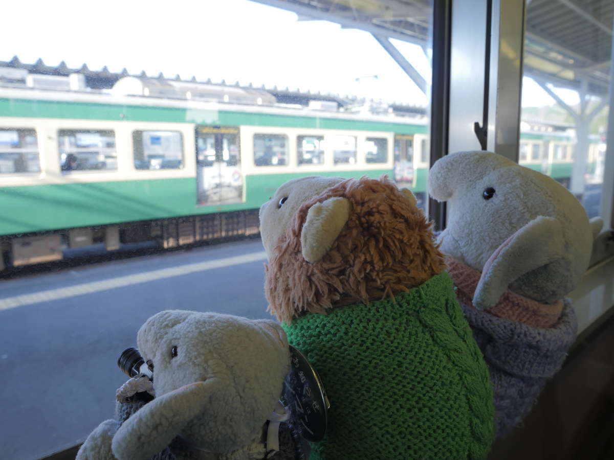 f:id:nuitetsuko:20200224153713j:plain f:id:nuitetsuko:20200224153713j:plain