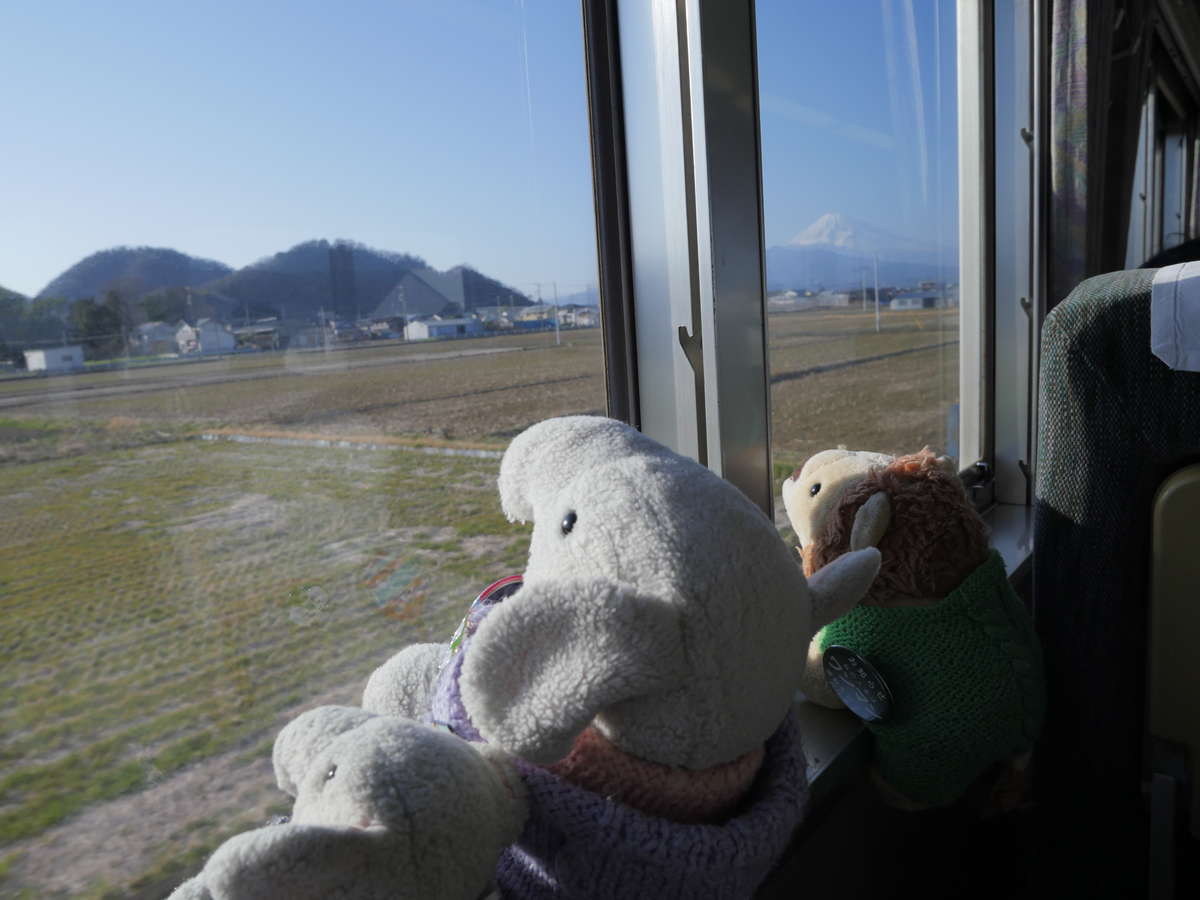 f:id:nuitetsuko:20200224155248j:plain f:id:nuitetsuko:20200224155248j:plain