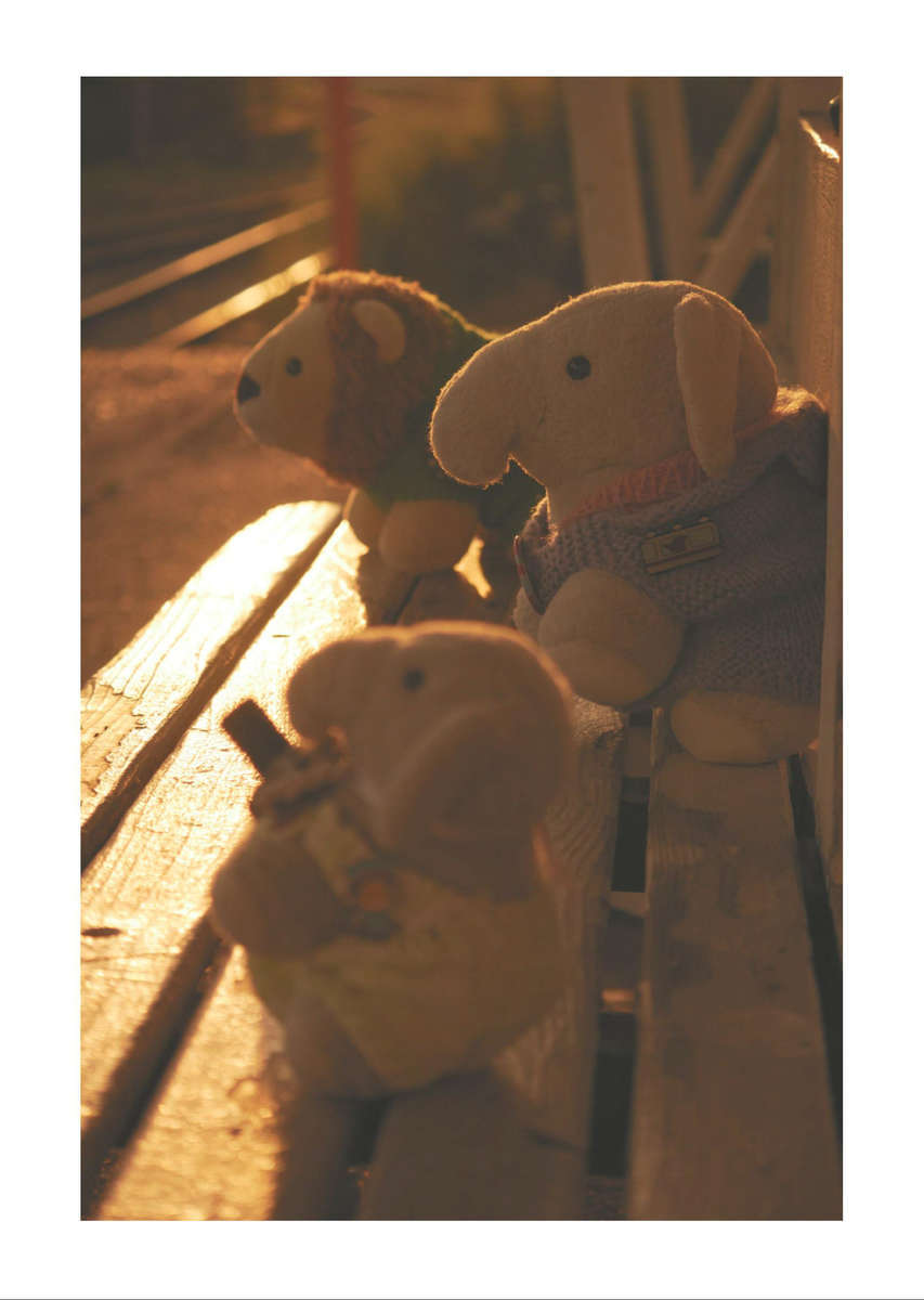 f:id:nuitetsuko:20200308134431j:plain f:id:nuitetsuko:20200308134431j:plain