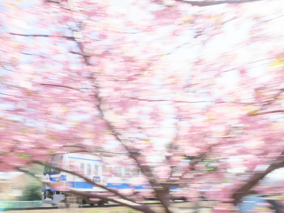 f:id:nuitetsuko:20200308141524j:plain f:id:nuitetsuko:20200308141524j:plain