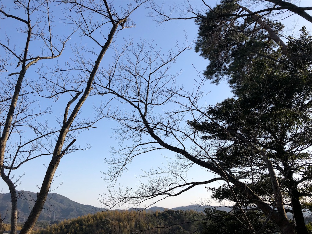 f:id:nuitluna:20180315211005j:image