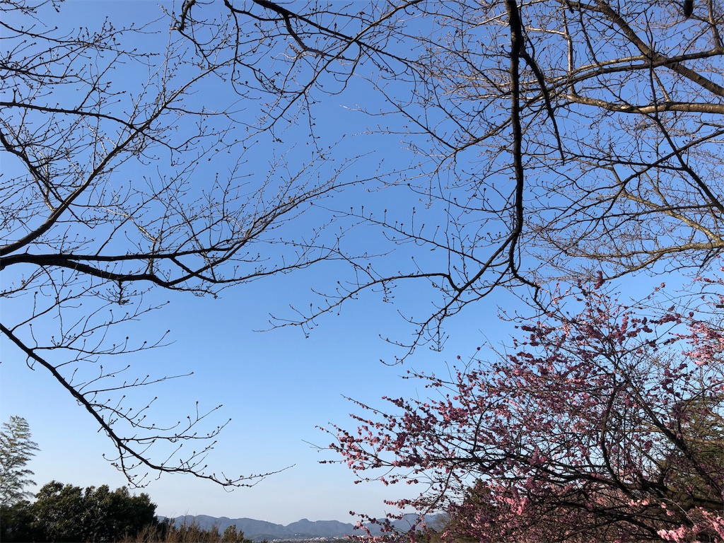 f:id:nuitluna:20180315211120j:image