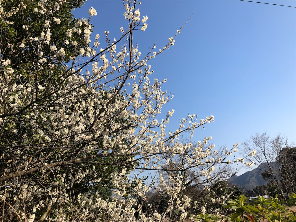 f:id:nuitluna:20180315213337j:image