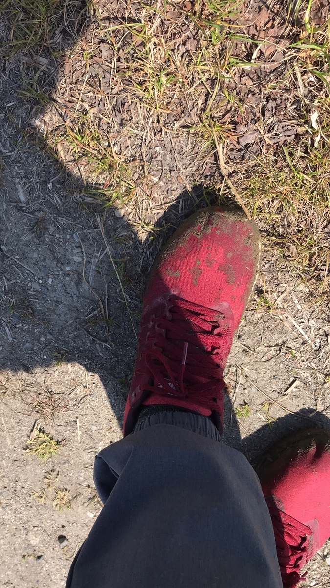 f:id:nujiyucho:20190409235704j:plain f:id:nujiyucho:20190409235704j:plain