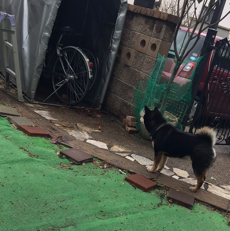 f:id:nujiyucho:20190410000640j:plain f:id:nujiyucho:20190410000640j:plain