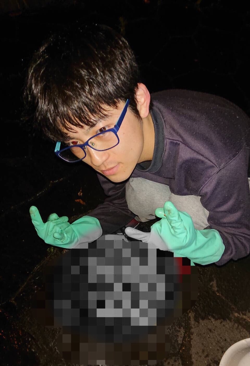 f:id:nujiyucho:20190410003827j:plain f:id:nujiyucho:20190410003827j:plain