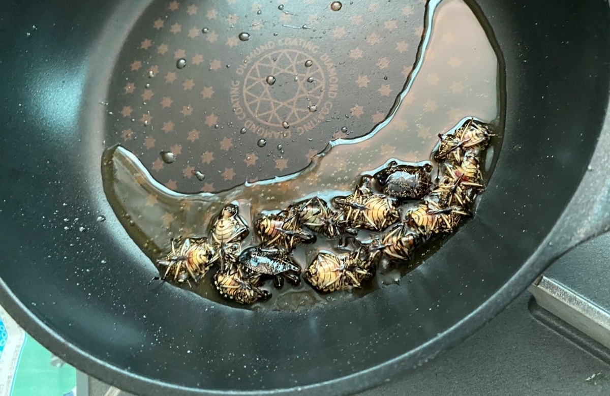 f:id:nujiyucho:20210809020822j:plain