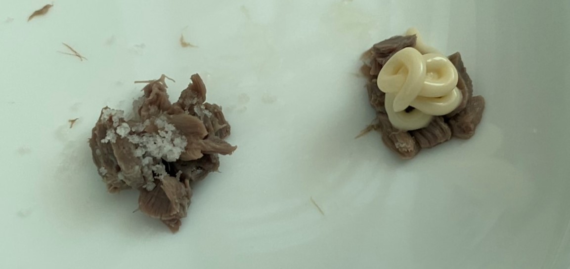 f:id:nujiyucho:20210809023046j:plain